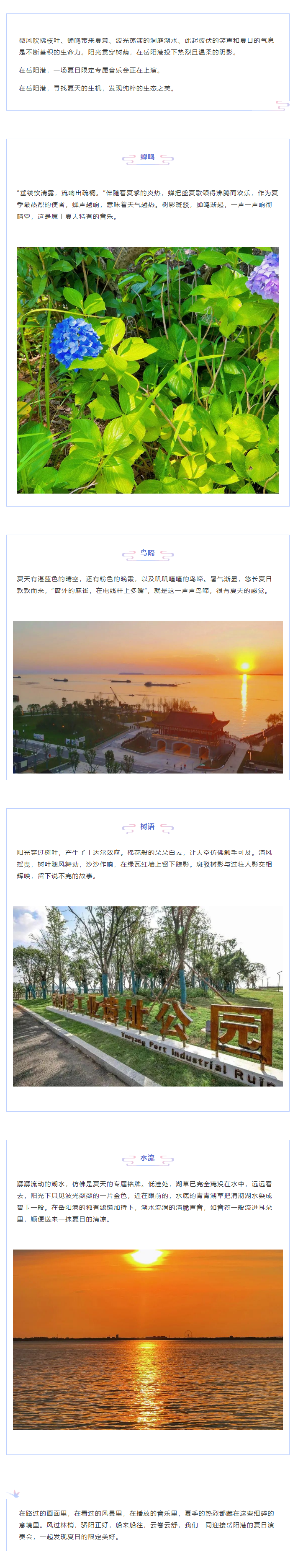 【夏日演奏會(huì)】在岳陽(yáng)港，聆聽(tīng)夏天的聲音.png